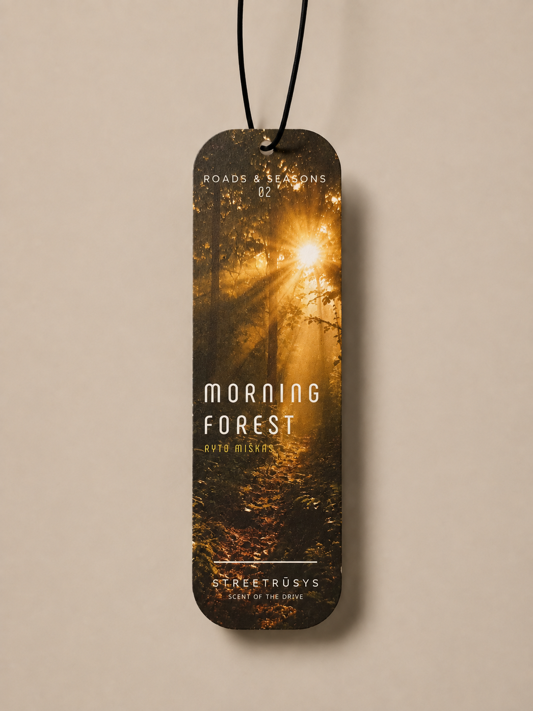Morning Forest