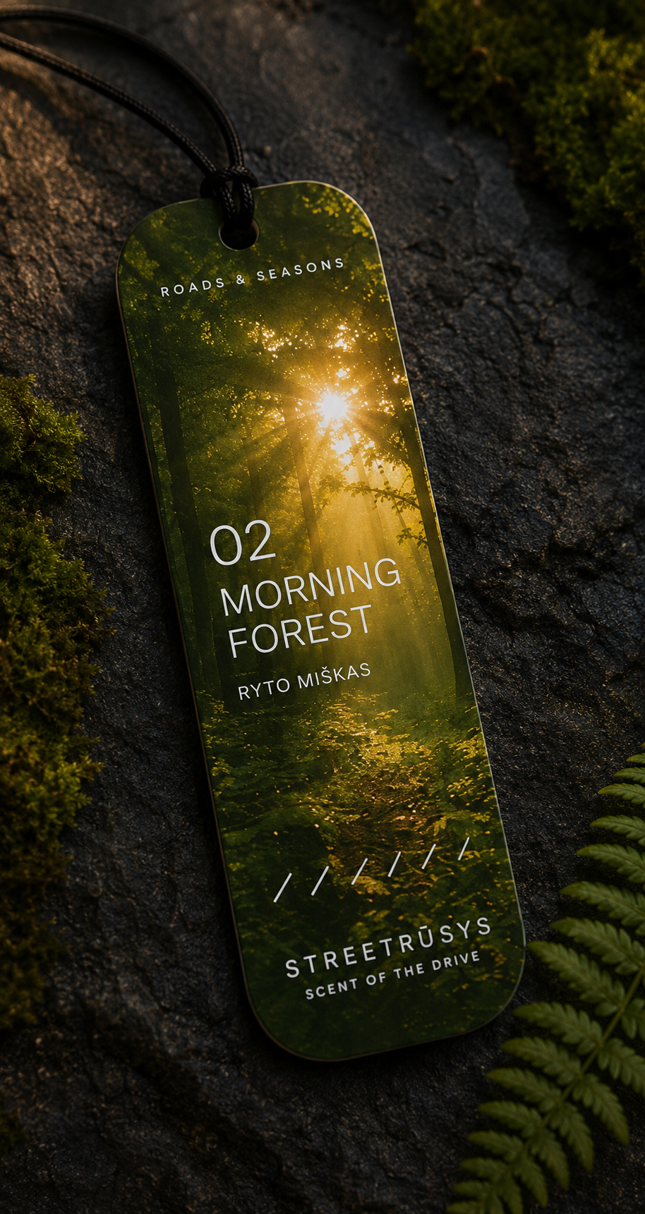 Morning Forest
